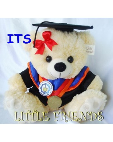 Boneka Wisuda Institut Teknologi Sepuluh Nopember - Teknik (30 cm)